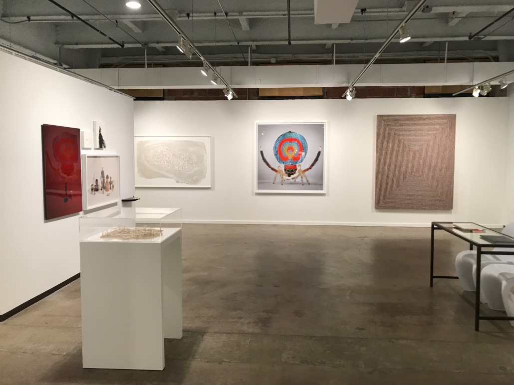 Dallas Art Fair 2019