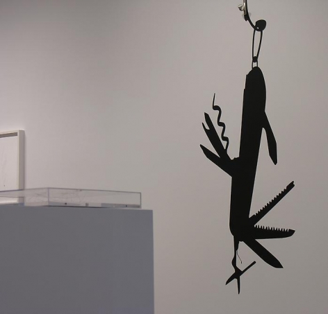 Regina Silveira, Sicardi Gallery installation view, 2008