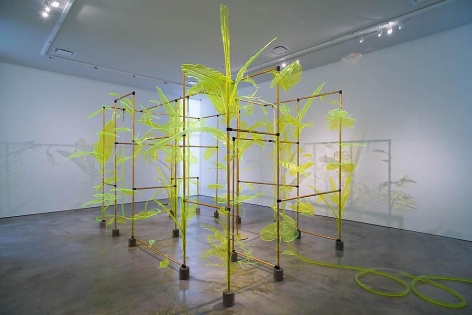 Thomas Glassford, Afterglow, Sicardi Gallery installation view, 2014