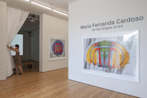 Maria Fernanda Cardoso:&nbsp;On the Origins of Art. Sicardi | Ayers | Bacino, 2018