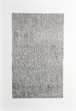 Mariano Dal Verme, Untitled, 2013. Graphite, paper, 29 in. x 21 in. x 2 in.