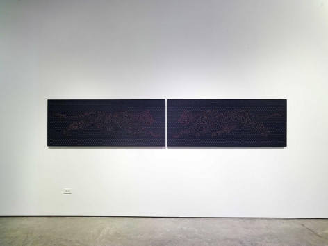Miguel Angel Rojas, Sicardi Gallery installation view, 2006