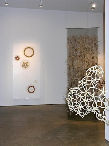 Maria Fernanda Cardoso, Sicardi Gallery installation view, 2006
