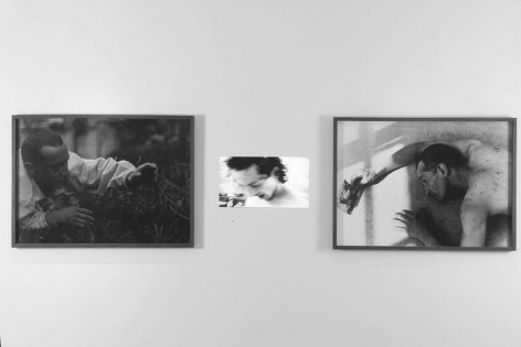 Miguel Angel Rojas. Mirando la flor Ed. 2/2, 1997-2007. Video and 2 Silver Gelatin prints. 31 7/8 x 44 in. (81 x 111.8 cm.) each. Video: 5:22 min