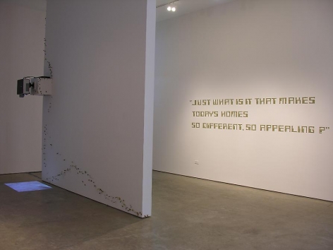 Miguel Angel Rojas, Sicardi Gallery installation view, 2008