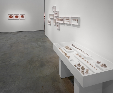 Installation view of&nbsp;Gustavo Diaz&#039;s&nbsp;2020&nbsp;exhibition&nbsp;Incompleteness: The Poetics of the Intangible&nbsp;at Sicardi | Ayers | Bacino.