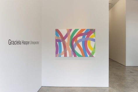 Installation view of the exhibition&nbsp;Graciela Hasper: Unexpected&nbsp;at Sicardi | Ayers | Bacino, 2019