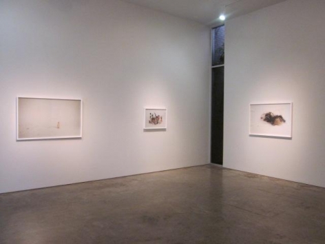 Liliana Porter, Fragment of the Cast, Installation view, 2012.