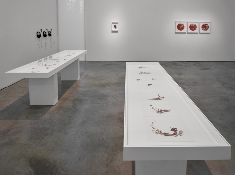 Installation view of&nbsp;Gustavo Diaz&#039;s&nbsp;2020&nbsp;exhibition&nbsp;Incompleteness: The Poetics of the Intangible&nbsp;at Sicardi | Ayers | Bacino.