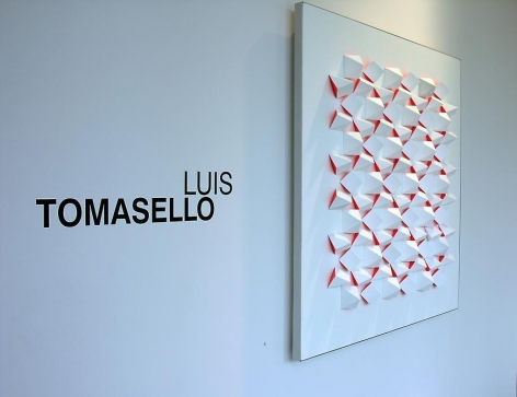 Luis Tomasello, Sicardi Gallery installation view, 2007