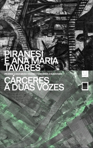 Ana Maria Tavares